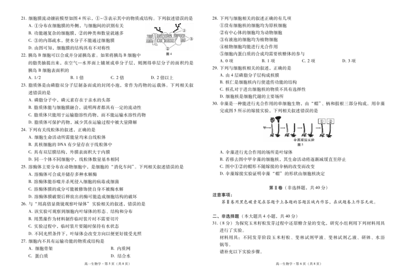 云南师范大学附属中学2024-2025学年高一上学期期中考试生物PDF版含解析（可编辑）_2024-2025高一（7-7月题库）_2024年11月试卷_1107云南师范大学附属中学2024-2025学年高一上学期期中考试