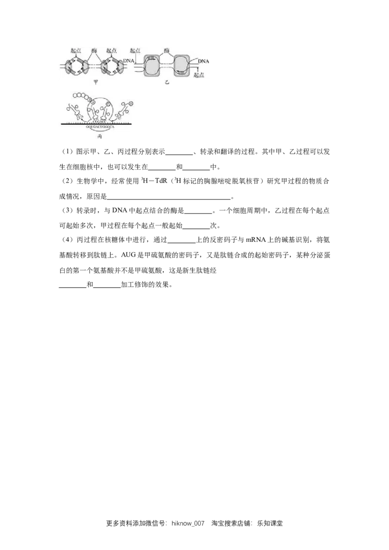 新教材精创4.1.2基因指导蛋白质的合成练习（1）（原卷版）_E015高中全科试卷_生物试题_必修2_2.同步练习_1、同步练习