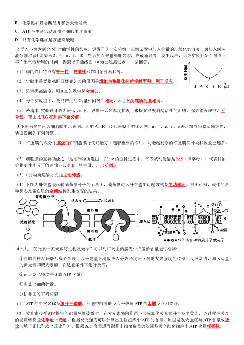 必修一知识点总结高一上学期生物人教版必修1_E015高中全科试卷_生物试题_必修1_5.知识汇总