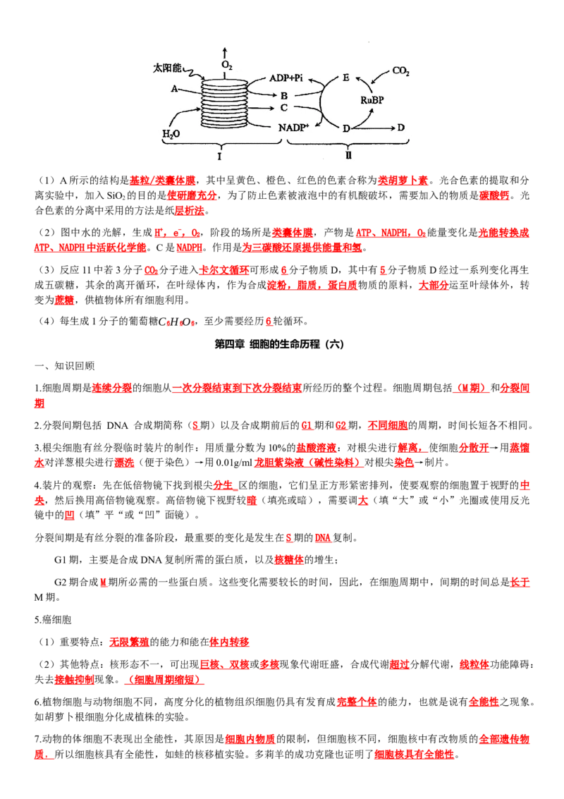 必修一知识点总结高一上学期生物人教版必修1_E015高中全科试卷_生物试题_必修1_5.知识汇总