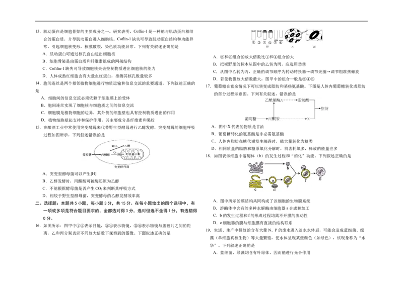 吉林省长春市朝阳区长春外国语学校2025-2026学年高一上学期12月月考生物试题（含答案）_2024-2025高一（7-7月题库）_2026年1月高一