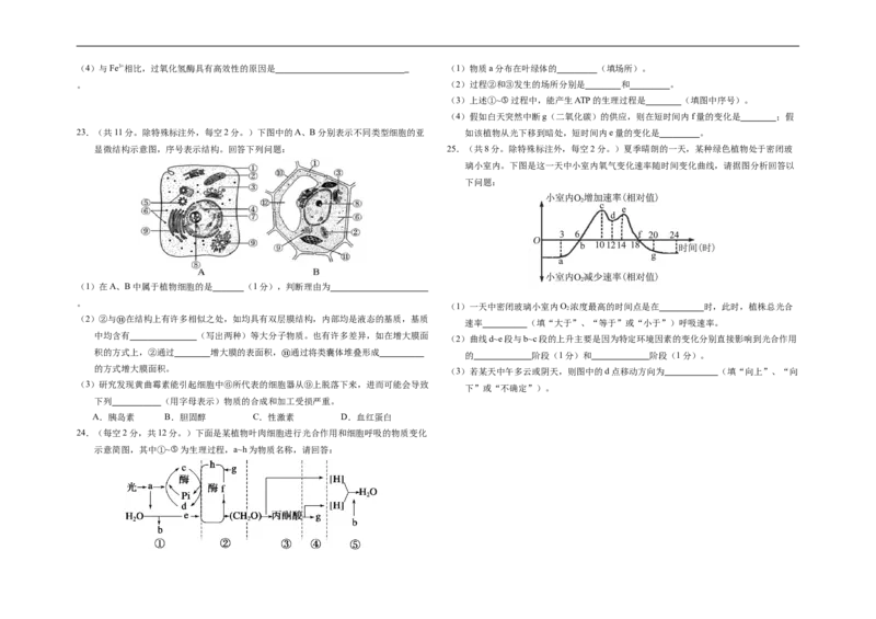 吉林省长春市朝阳区长春外国语学校2025-2026学年高一上学期12月月考生物试题（含答案）_2024-2025高一（7-7月题库）_2026年1月高一