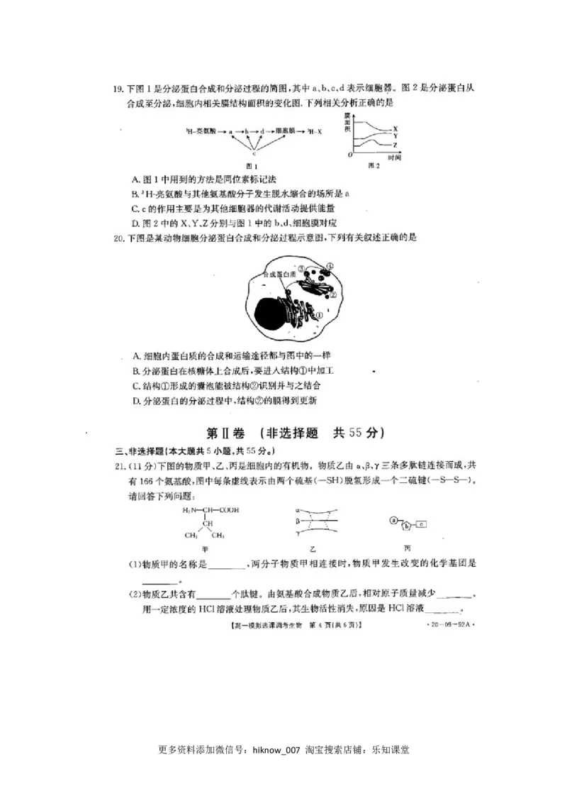 山东省济南市历城第二中学高一上学期模拟选课调考（期中）生物试题PDF版_E015高中全科试卷_生物试题_必修1_3.期中测试