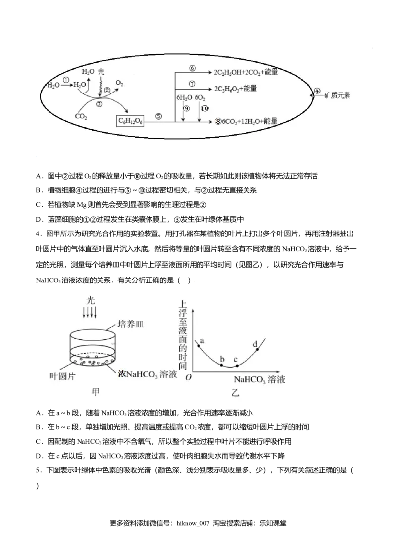 5.4光合作用与能量转化-高一生物课后培优练（人教版2019必修1）（原卷版）_E015高中全科试卷_生物试题_必修1_2.同步练习_3.同步练习（第三套）