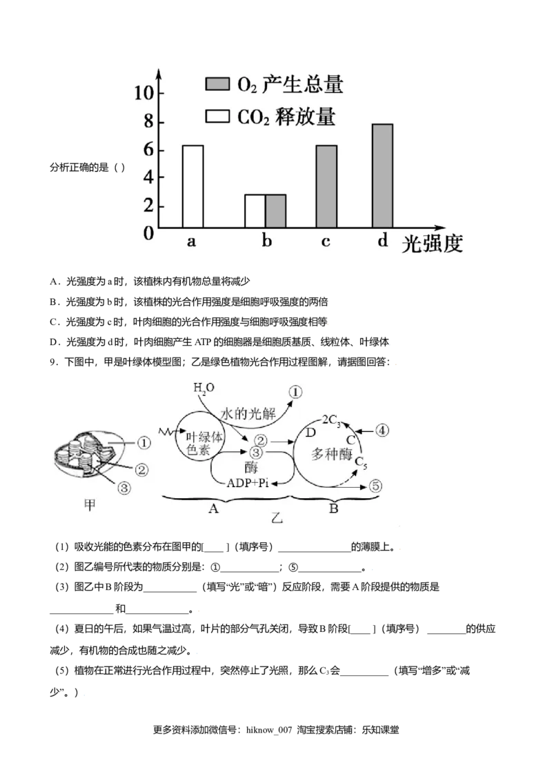 5.4光合作用与能量转化-高一生物课后培优练（人教版2019必修1）（原卷版）_E015高中全科试卷_生物试题_必修1_2.同步练习_3.同步练习（第三套）