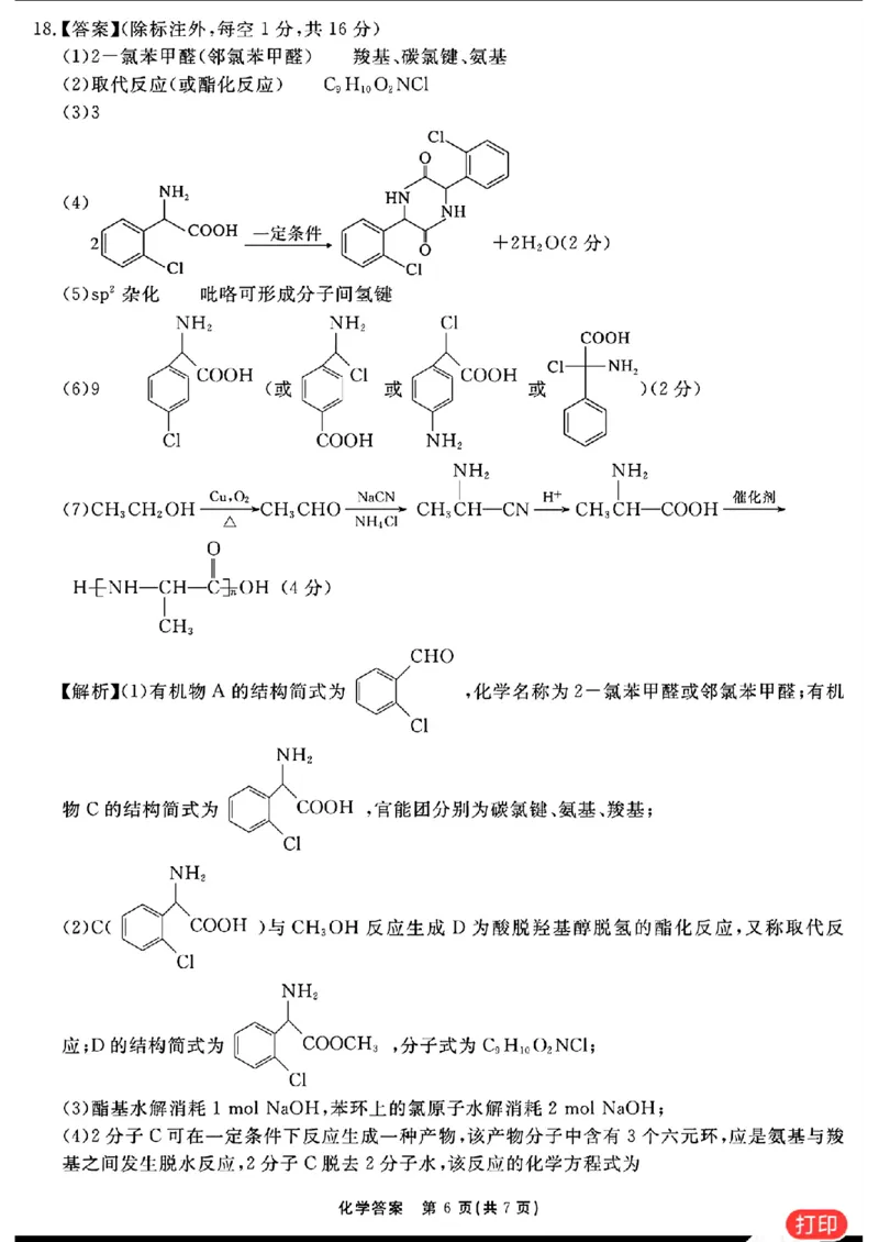 化学参考答案提示及评分细则(1)_2024年2月_022月合集_2024届安徽&ldquo;耀正优+&rdquo;高三名校期末测试