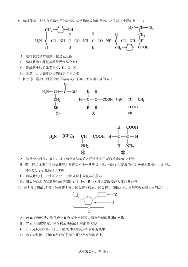 2025一2026学年度上期高2028届期末考试生物_2024-2025高一（7-7月题库）_2026年1月高一_260128四川省成都市第七中学2025一2026学年度上期高一期末考试（全）