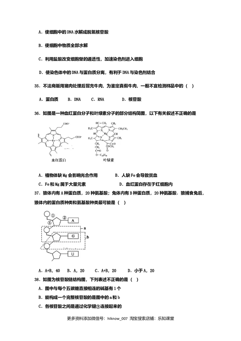 山东省新泰市第二中学高一上学期期中考试生物试题_E015高中全科试卷_生物试题_必修1_3.期中测试