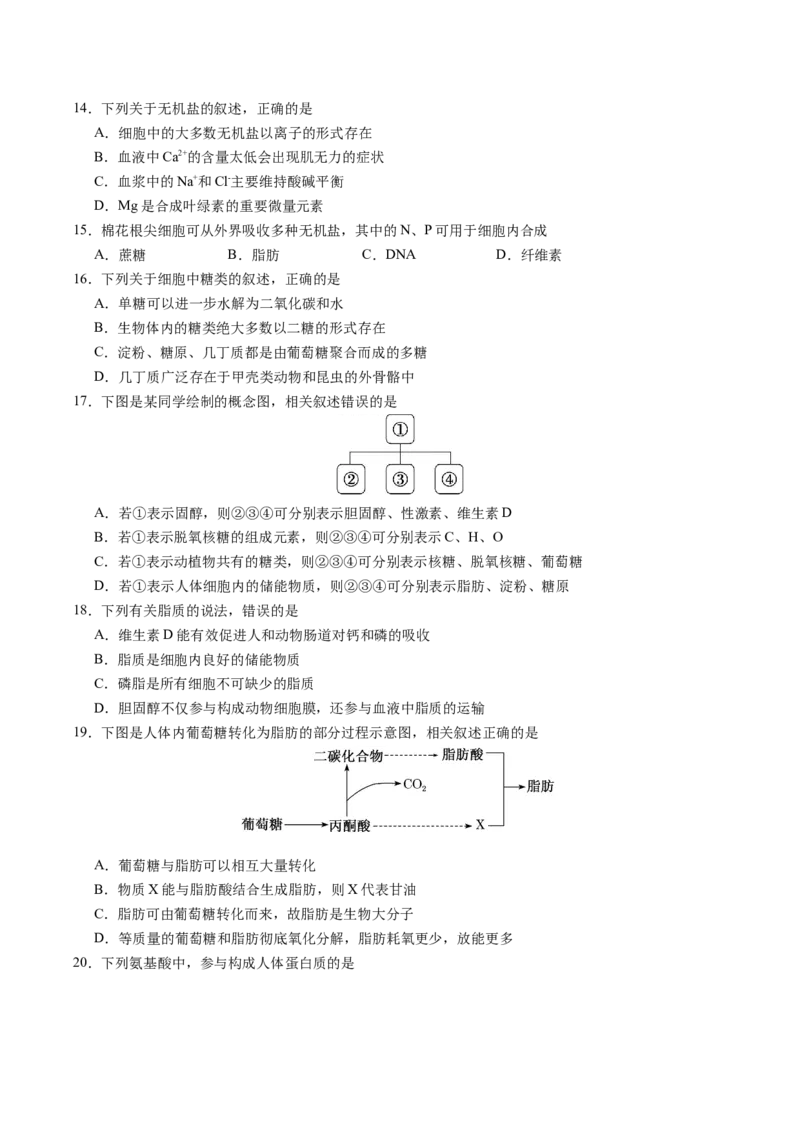 江苏省南京市七校2025-2026学年高一上学期期中联合调研试题生物Word版含答案_2024-2025高一（7-7月题库）_2026年1月高一