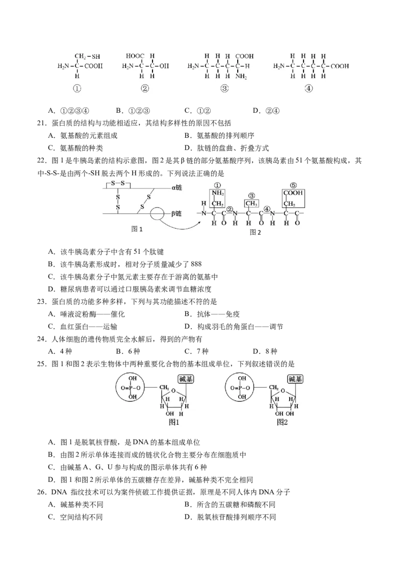 江苏省南京市七校2025-2026学年高一上学期期中联合调研试题生物Word版含答案_2024-2025高一（7-7月题库）_2026年1月高一