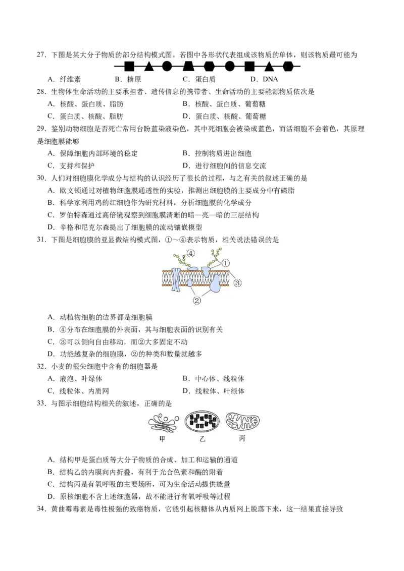 江苏省南京市七校2025-2026学年高一上学期期中联合调研试题生物Word版含答案_2024-2025高一（7-7月题库）_2026年1月高一