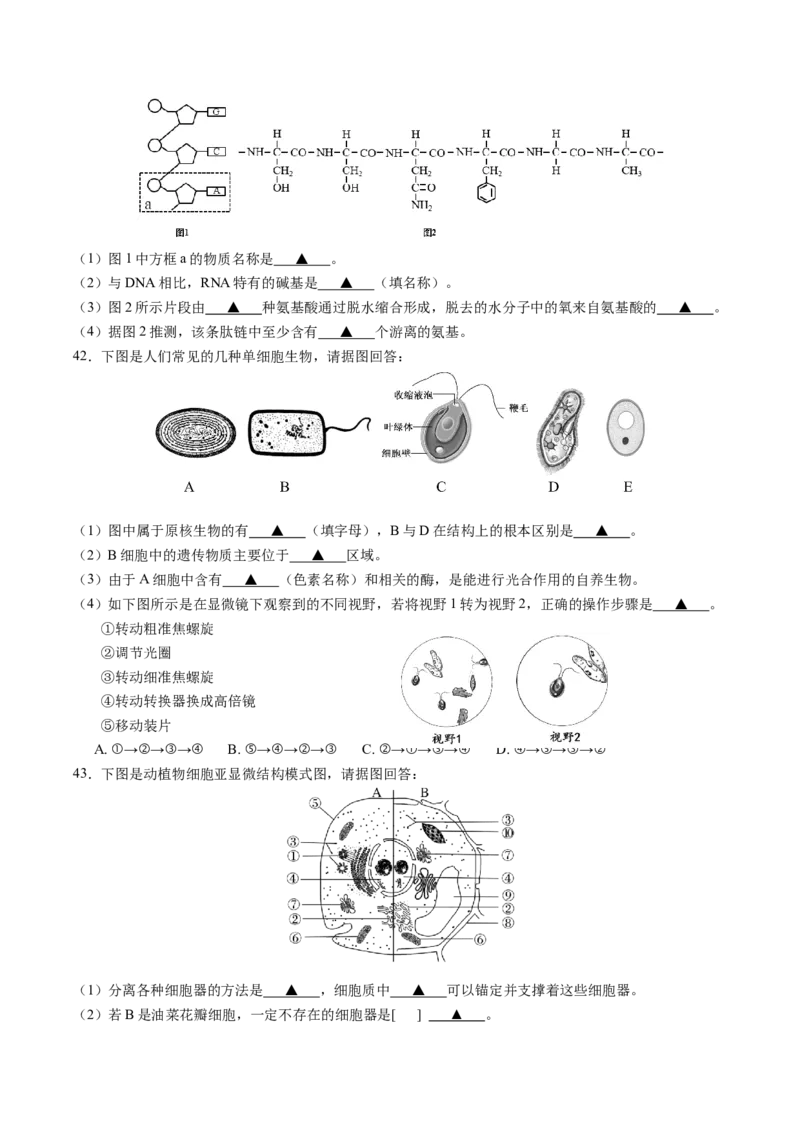 江苏省南京市七校2025-2026学年高一上学期期中联合调研试题生物Word版含答案_2024-2025高一（7-7月题库）_2026年1月高一
