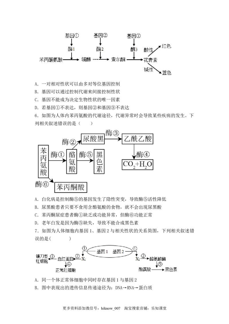 4.2基因表达与性状的关系（原卷版）_E015高中全科试卷_生物试题_必修2_2.同步练习_2、课后培优练2023_4.2+基因表达与性状的关系-2022-2023学年高一生物课后培优分级练（人教版2019必修2）