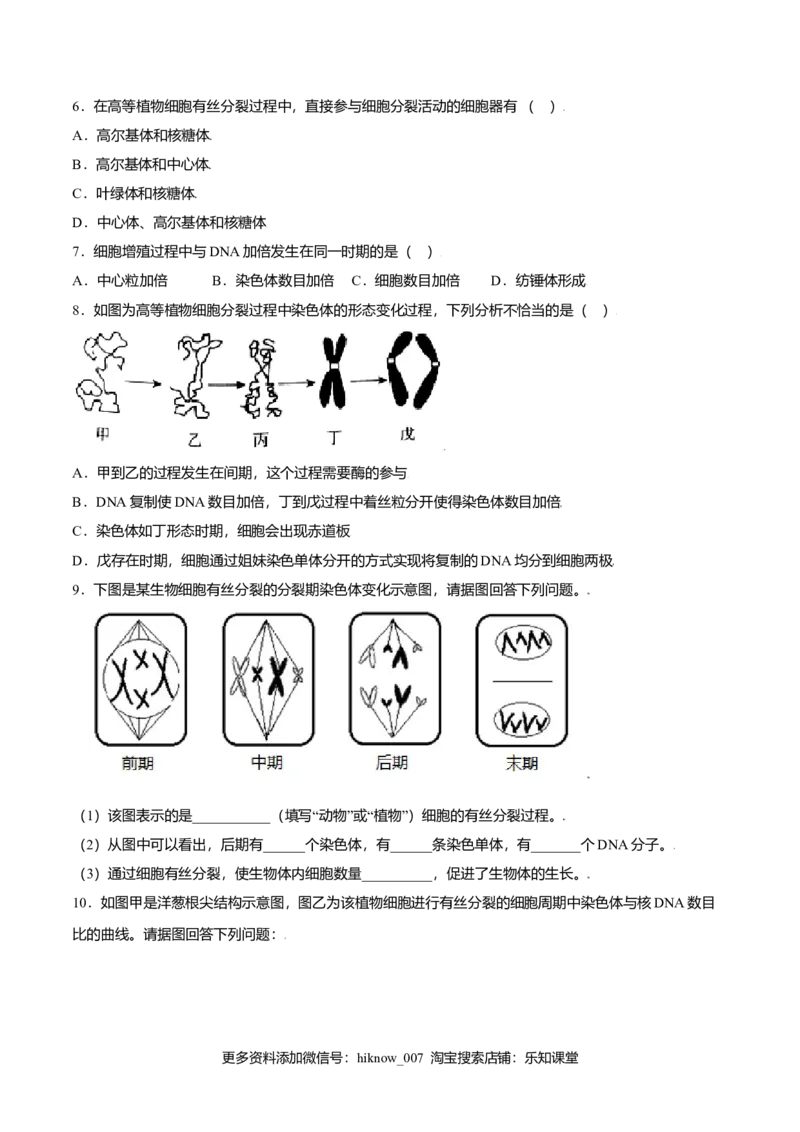 6.1细胞的增殖-高一生物课后培优练（人教版2019必修1）（原卷版）_E015高中全科试卷_生物试题_必修1_2.同步练习_3.同步练习（第三套）