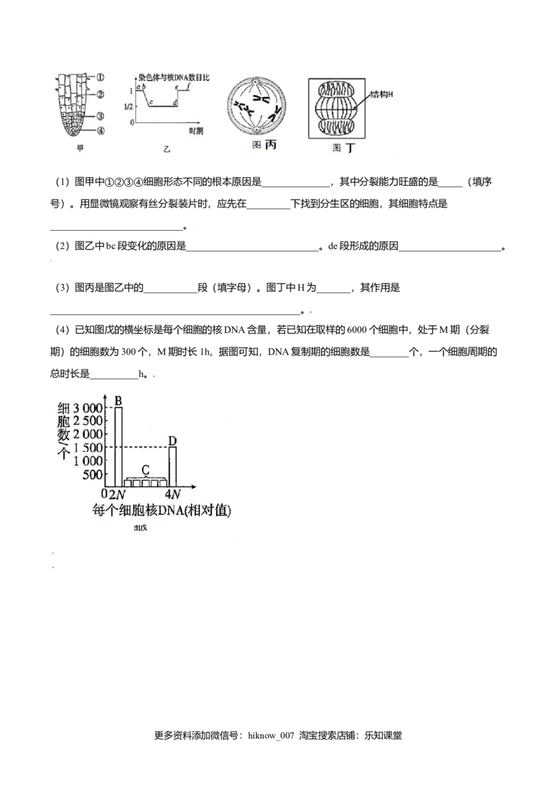 6.1细胞的增殖-高一生物课后培优练（人教版2019必修1）（原卷版）_E015高中全科试卷_生物试题_必修1_2.同步练习_3.同步练习（第三套）