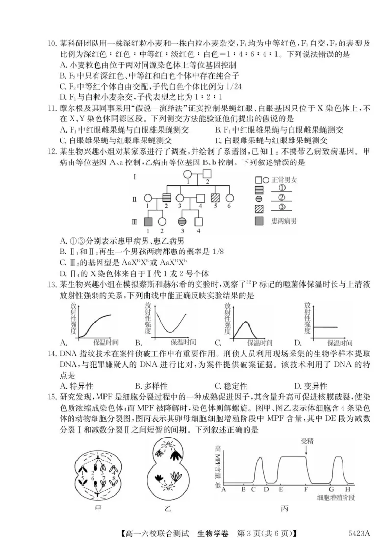 广东省六校（清中、河中、惠中、茂中等）2024-2025学年高一下学期5月联合测试生物试卷（扫描版，有答案）_2024-2025高一（7-7月题库）_2025年6月7.10新增