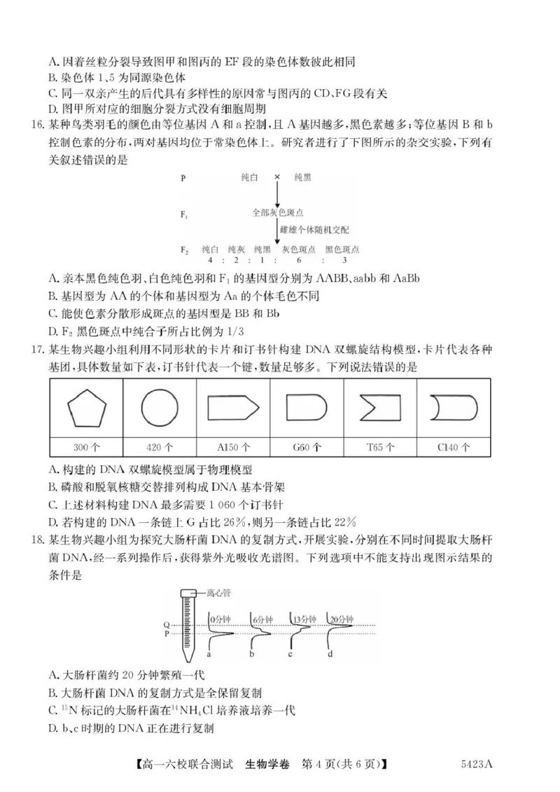 广东省六校（清中、河中、惠中、茂中等）2024-2025学年高一下学期5月联合测试生物试卷（扫描版，有答案）_2024-2025高一（7-7月题库）_2025年6月7.10新增