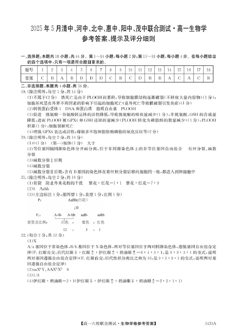 广东省六校（清中、河中、惠中、茂中等）2024-2025学年高一下学期5月联合测试生物试卷（扫描版，有答案）_2024-2025高一（7-7月题库）_2025年6月7.10新增