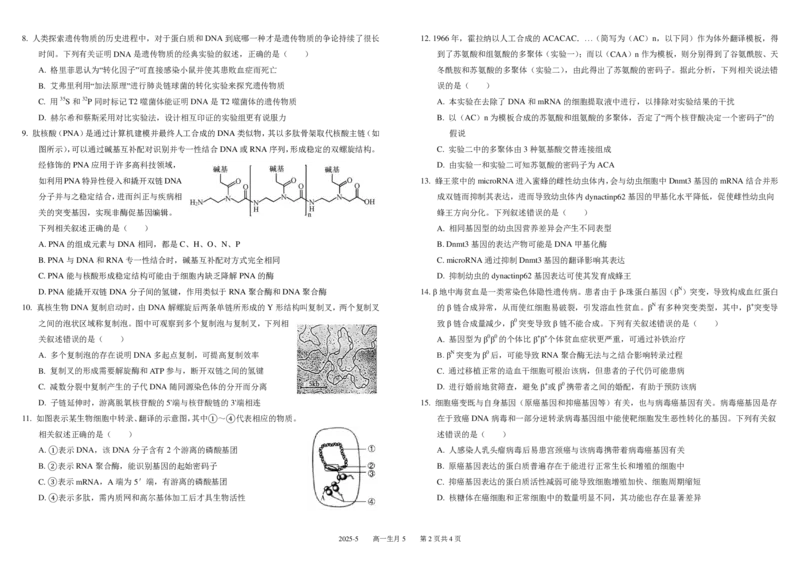 四川省成都市树德中学2024-2025学年高一下学期5月月考试题生物PDF版含答案（可编辑）_2024-2025高一（7-7月题库）_2025年05月试卷