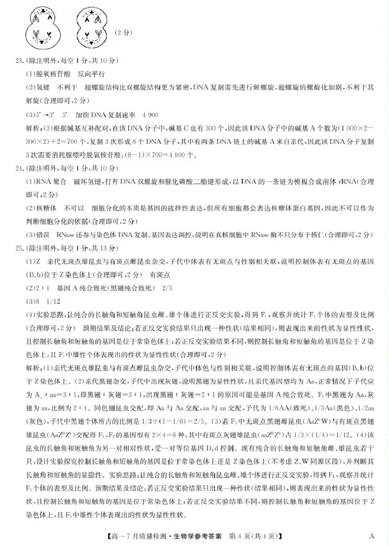江西省宜春市部分重点中学2024-2025学年高一下学期7月联考生物试卷（扫描版，含答案）_2024-2025高一（7-7月题库）_2025年7月