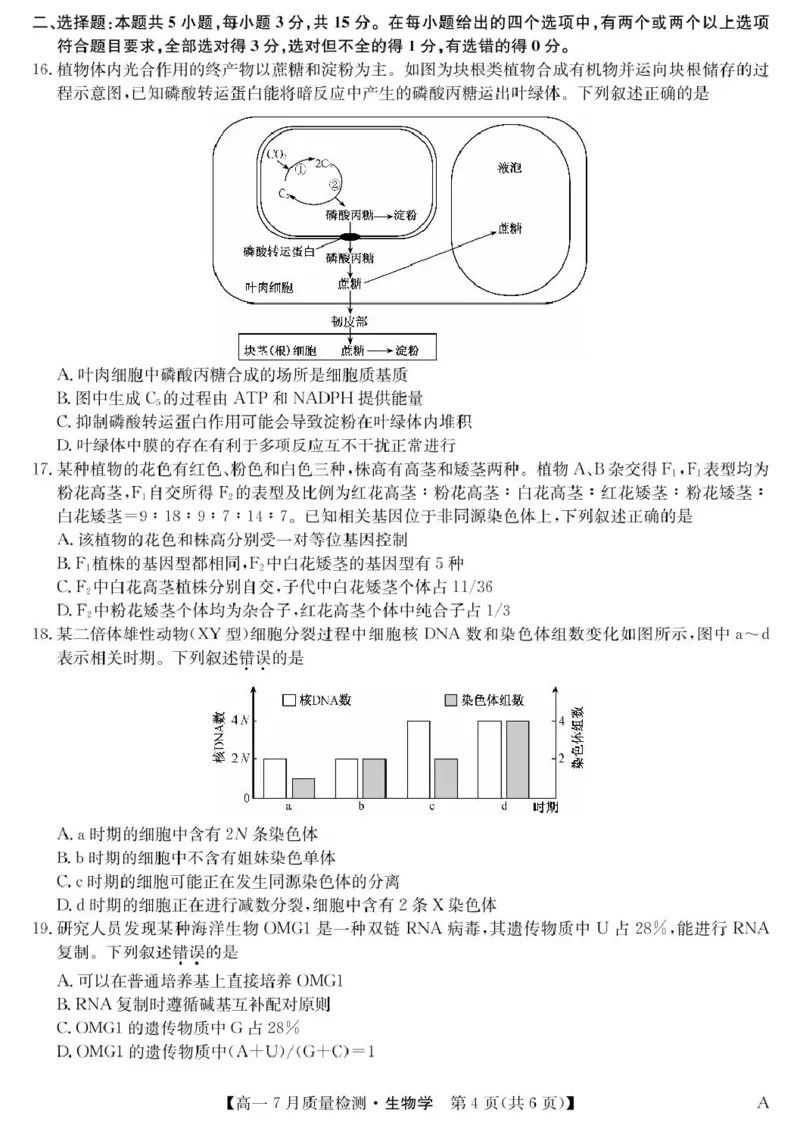 江西省宜春市部分重点中学2024-2025学年高一下学期7月联考生物试卷（扫描版，含答案）_2024-2025高一（7-7月题库）_2025年7月
