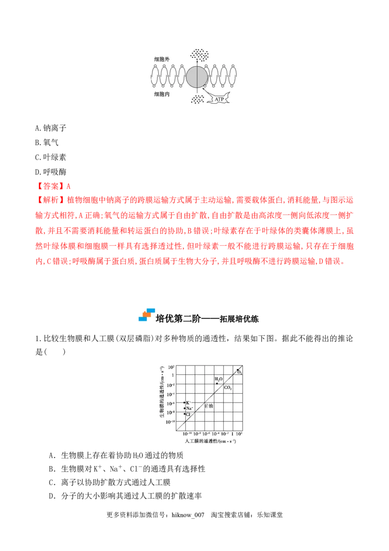 4.2主动运输与胞吞、胞吐-2022-2023学年高一生物上学期课后培优分级练（2019人教版必修1）（解析版）_E015高中全科试卷_生物试题_必修1_2.同步练习_1.同步练习（第一套）