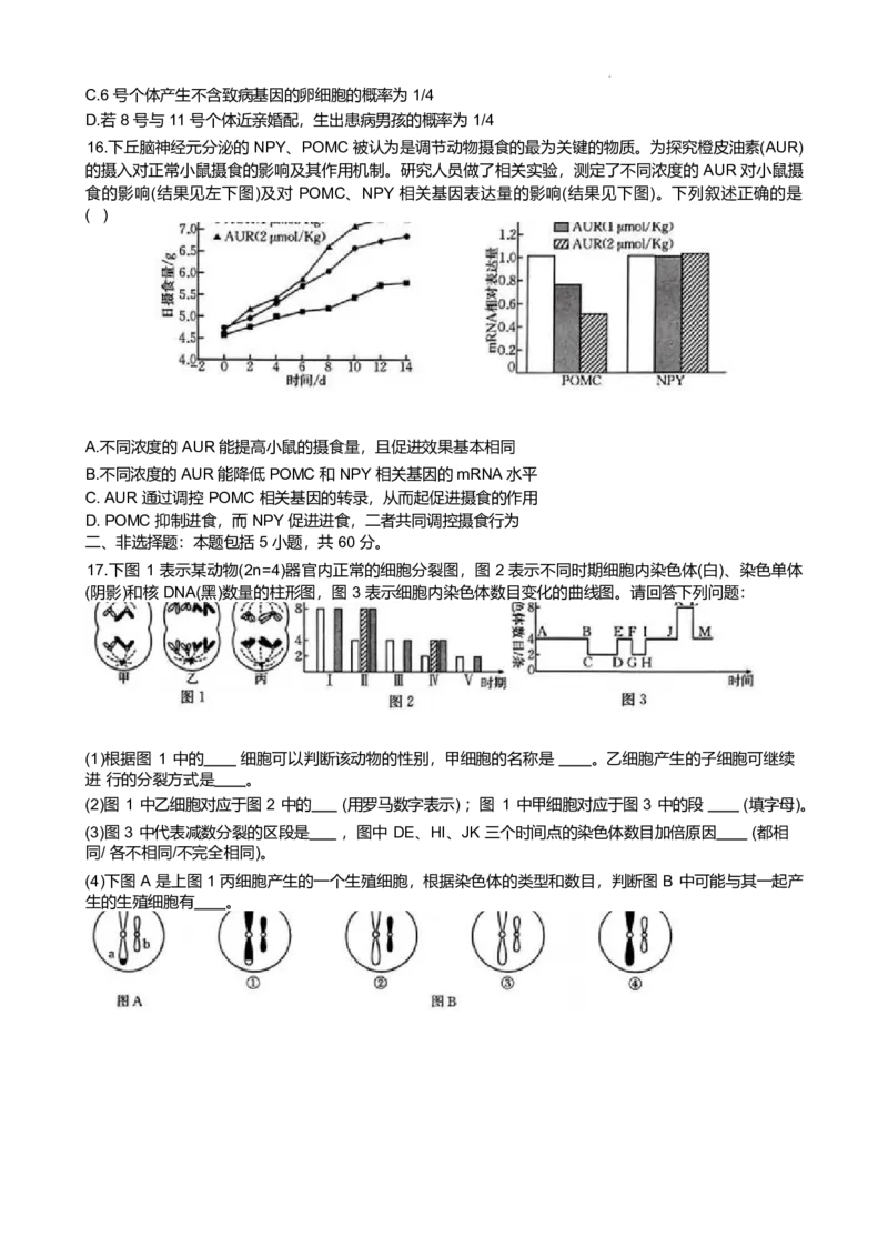 广西桂林市部分学校2024-2025学年高一下学期5月阶段检测试题生物Word版含答案_2024-2025高一（7-7月题库）_2025年6月7.10新增