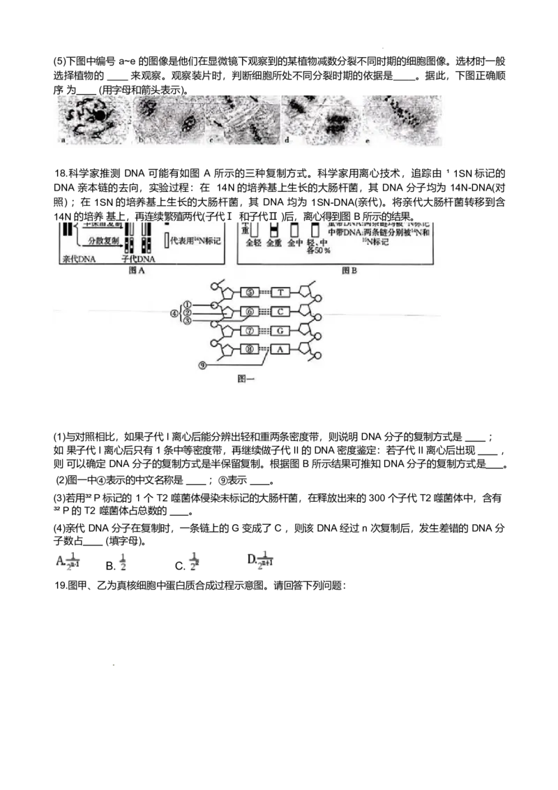 广西桂林市部分学校2024-2025学年高一下学期5月阶段检测试题生物Word版含答案_2024-2025高一（7-7月题库）_2025年6月7.10新增