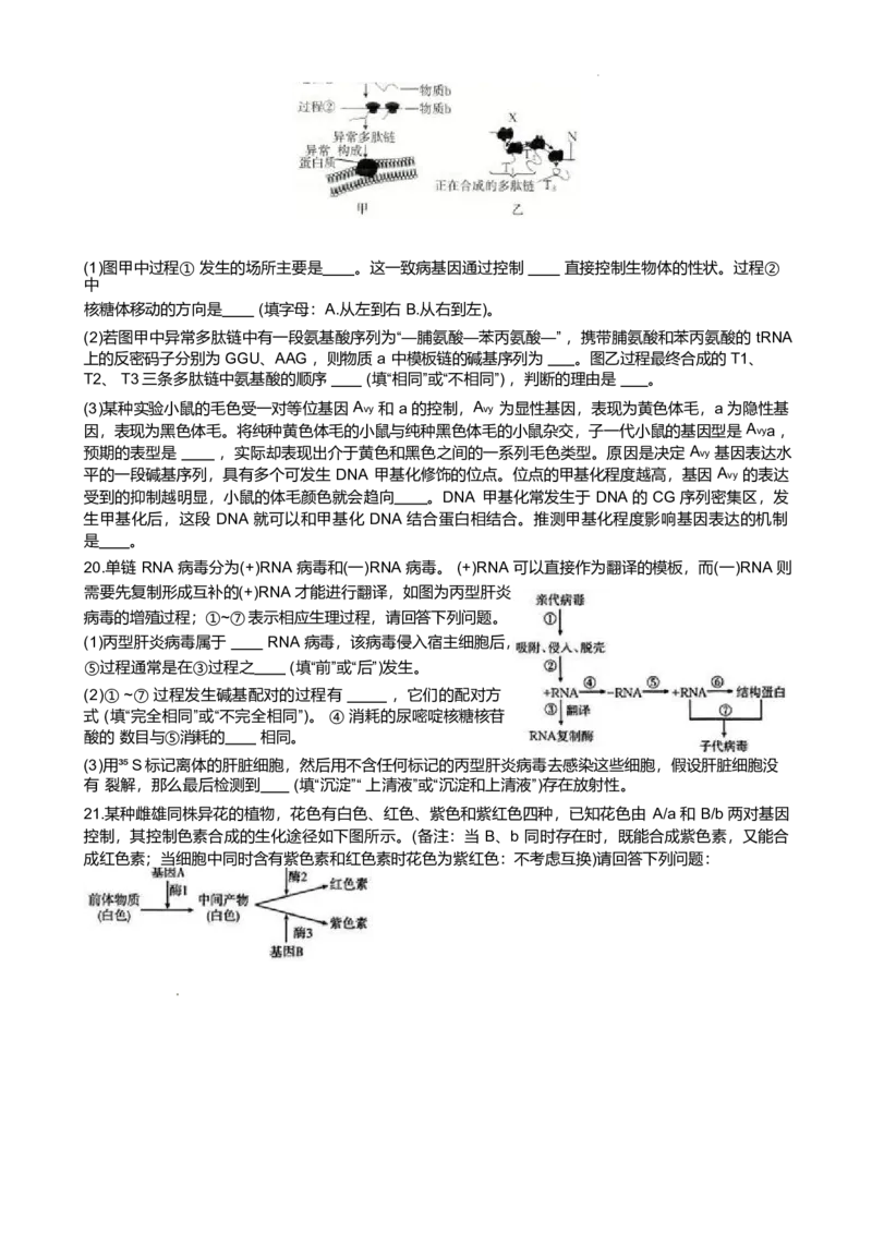 广西桂林市部分学校2024-2025学年高一下学期5月阶段检测试题生物Word版含答案_2024-2025高一（7-7月题库）_2025年6月7.10新增