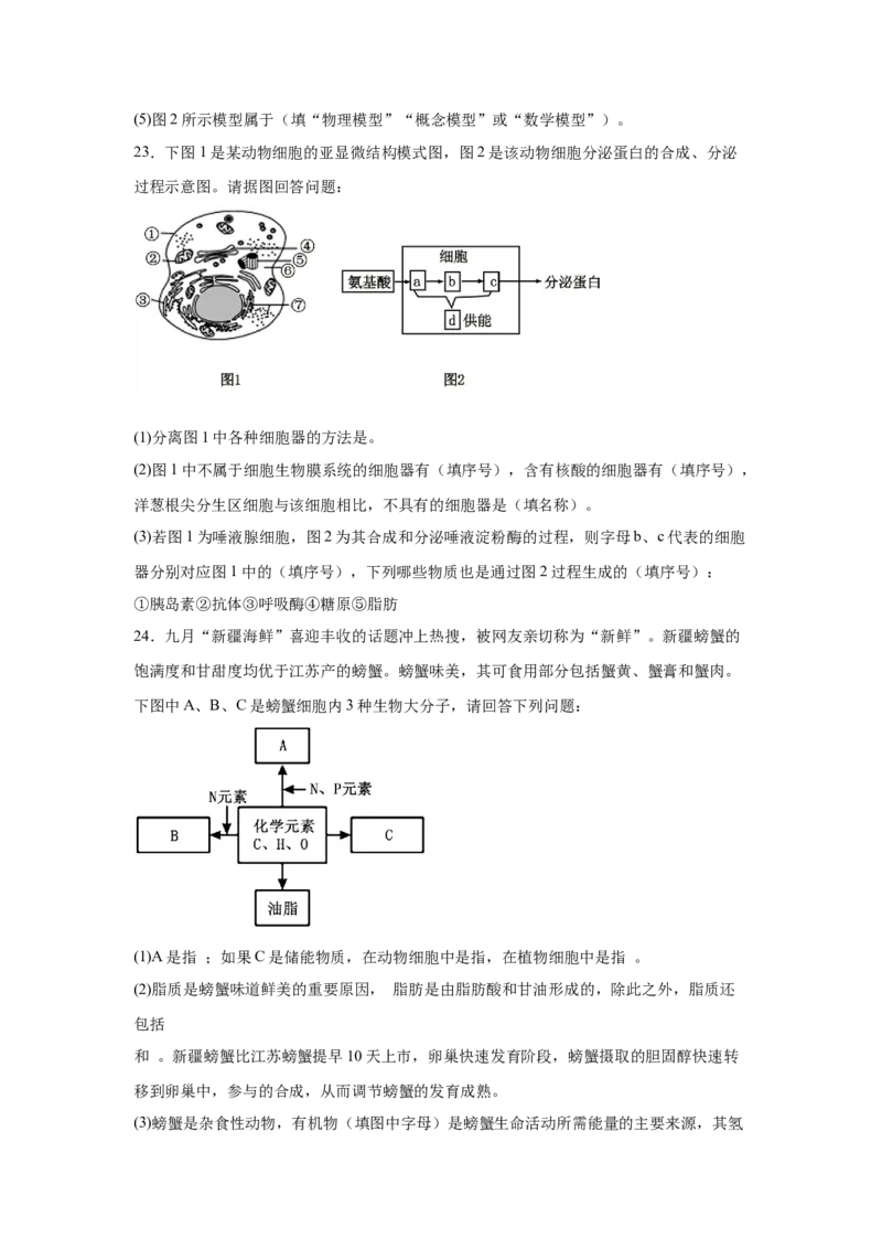 安徽省六安市独山中学2024-2025学年高一下学期2月月考生物学试题（含答案）_2024-2025高一（7-7月题库）_2025年03月试卷_0306安徽省六安市独山中学2024-2025学年高一下学期2月月考