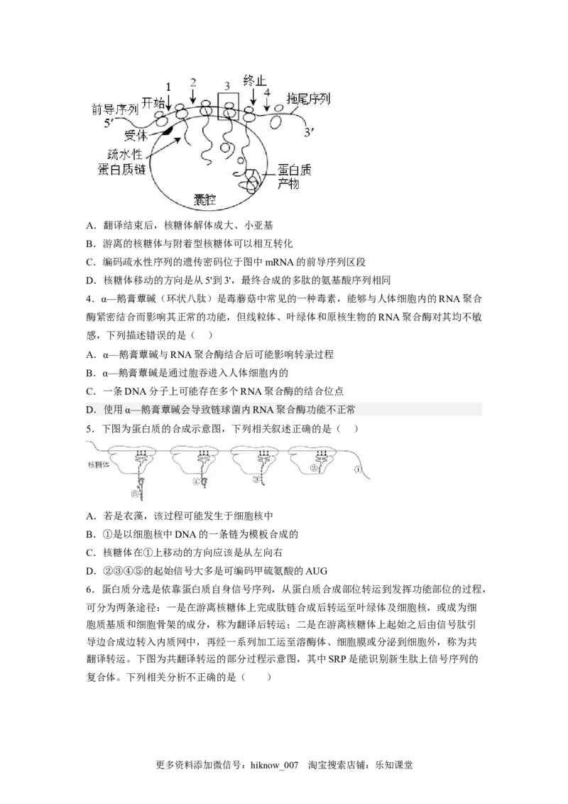 4.1基因指导蛋白质的合成（原卷版）_E015高中全科试卷_生物试题_必修2_2.同步练习_2、课后培优练2023_4.1+基因指导蛋白质的合成-2022-2023学年高一生物课后培优分级练（人教版2019必修2）