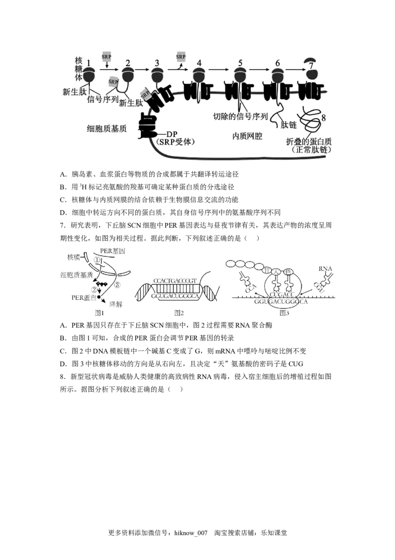 4.1基因指导蛋白质的合成（原卷版）_E015高中全科试卷_生物试题_必修2_2.同步练习_2、课后培优练2023_4.1+基因指导蛋白质的合成-2022-2023学年高一生物课后培优分级练（人教版2019必修2）