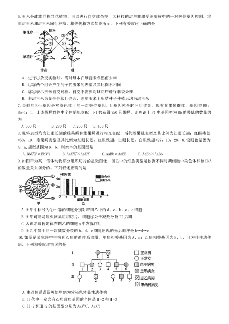 内蒙古赤峰二中2024级高一下学期第二次月考生物试题（含答案）_2024-2025高一（7-7月题库）_2025年7月_250701内蒙古赤峰二中2024级高一下学期第二次月考