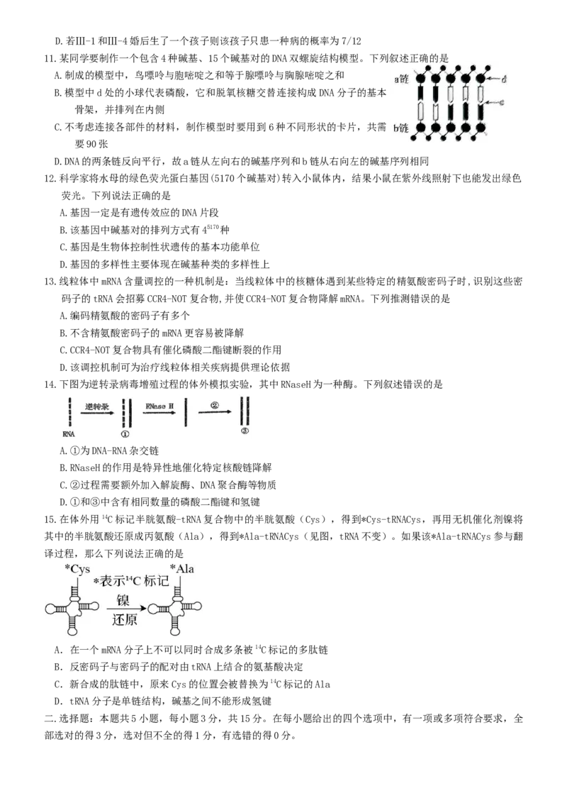 内蒙古赤峰二中2024级高一下学期第二次月考生物试题（含答案）_2024-2025高一（7-7月题库）_2025年7月_250701内蒙古赤峰二中2024级高一下学期第二次月考