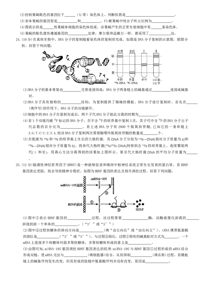 内蒙古赤峰二中2024级高一下学期第二次月考生物试题（含答案）_2024-2025高一（7-7月题库）_2025年7月_250701内蒙古赤峰二中2024级高一下学期第二次月考
