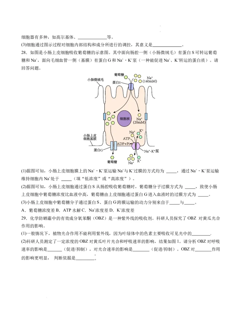 期末模拟卷02（考试版A4版）测试范围：人教版2019必修1_E015高中全科试卷_生物试题_必修1_4.期末试卷_高一生物期末模拟卷02（人教版2019）2023-2024学年高中生物上学期期末模拟考试