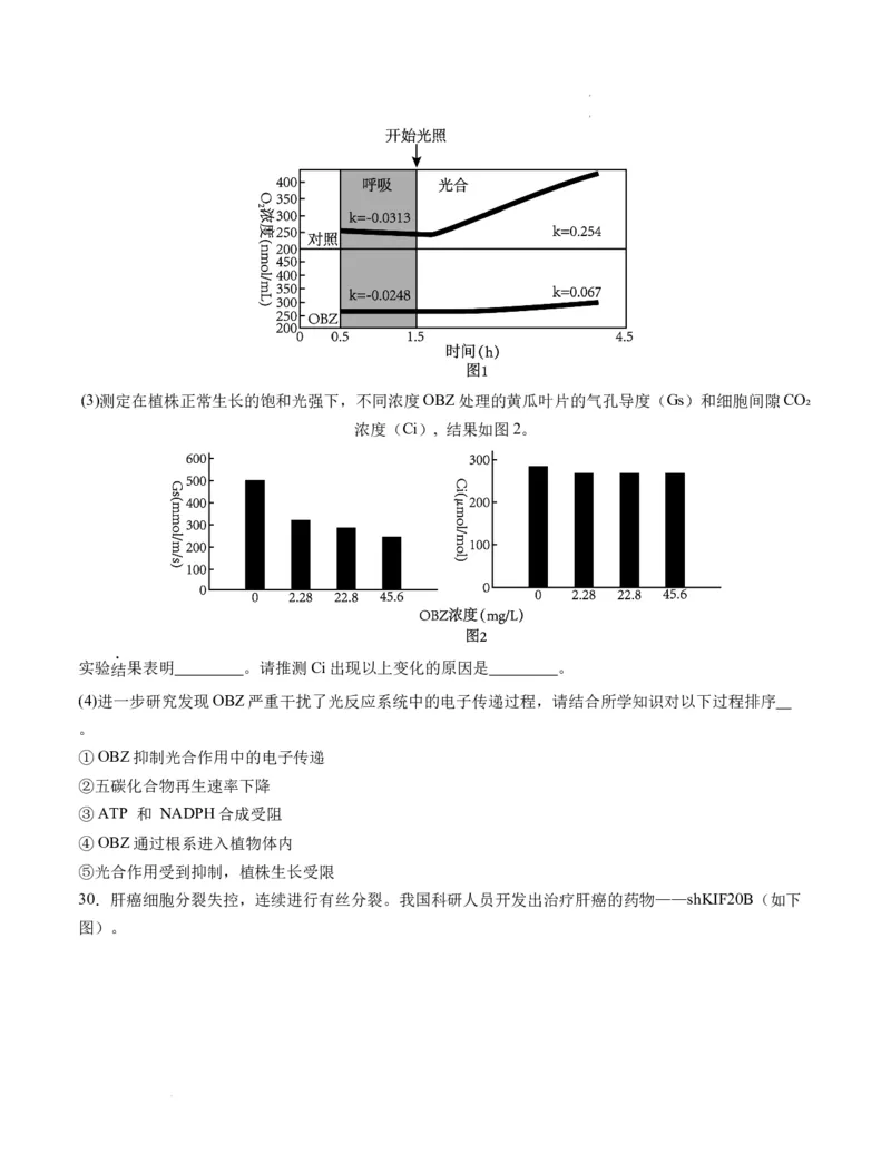 期末模拟卷02（考试版A4版）测试范围：人教版2019必修1_E015高中全科试卷_生物试题_必修1_4.期末试卷_高一生物期末模拟卷02（人教版2019）2023-2024学年高中生物上学期期末模拟考试