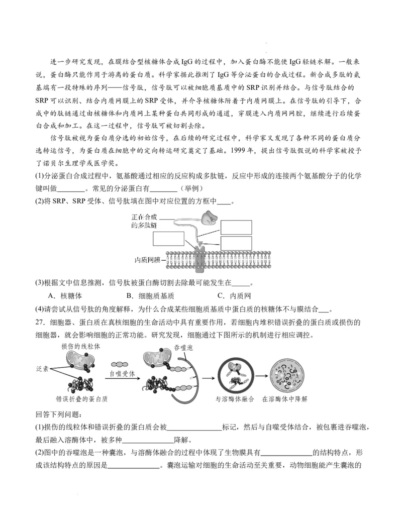 期末模拟卷02（考试版A4版）测试范围：人教版2019必修1_E015高中全科试卷_生物试题_必修1_4.期末试卷_高一生物期末模拟卷02（人教版2019）2023-2024学年高中生物上学期期末模拟考试