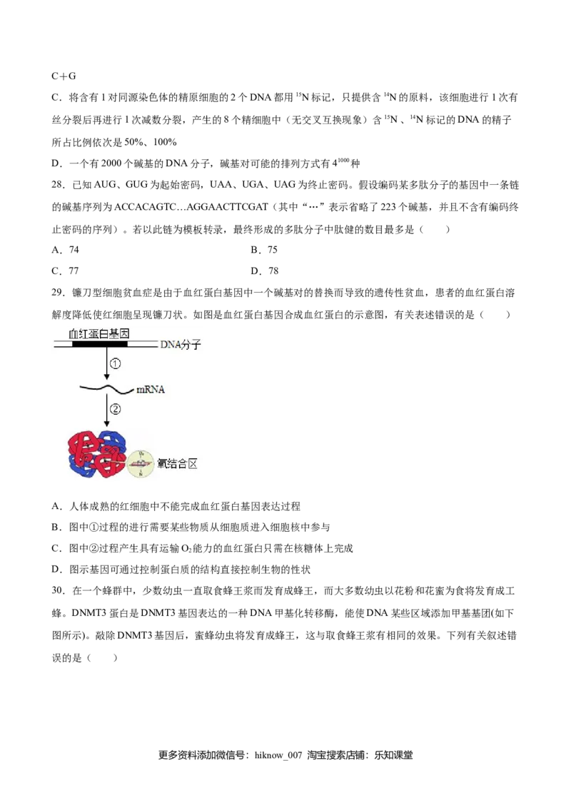 期末押题01-高一生物下学期期末专项复习（人教版2019必修2）（原卷版）_E015高中全科试卷_生物试题_必修2_4.期末试卷_期末押题01-高一生物下学期期末专项复习（人教版2019必修2）(28833800)