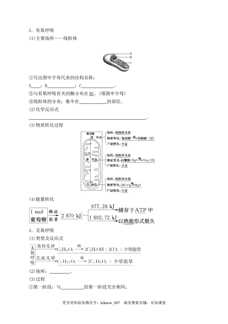 5.3细胞呼吸的原理和应用-2022-2023学年高一生物上学期课后培优分级练（2019人教版必修1）（原卷版）_E015高中全科试卷_生物试题_必修1_2.同步练习_1.同步练习（第一套）