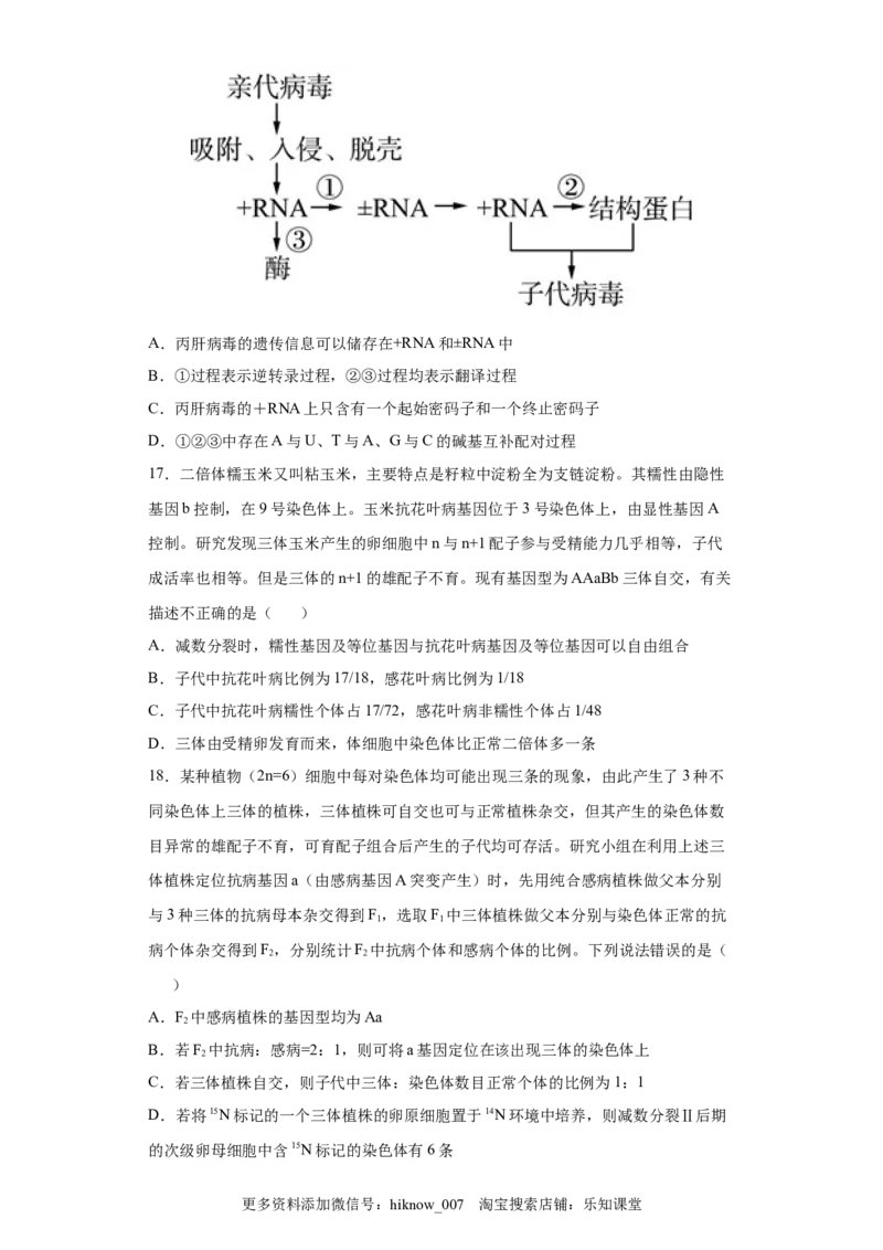 期末冲刺卷2-冲刺期末高一生物下学期期末拔高冲刺卷（2019人教版）（原卷版）_E015高中全科试卷_生物试题_必修2_4.期末试卷
