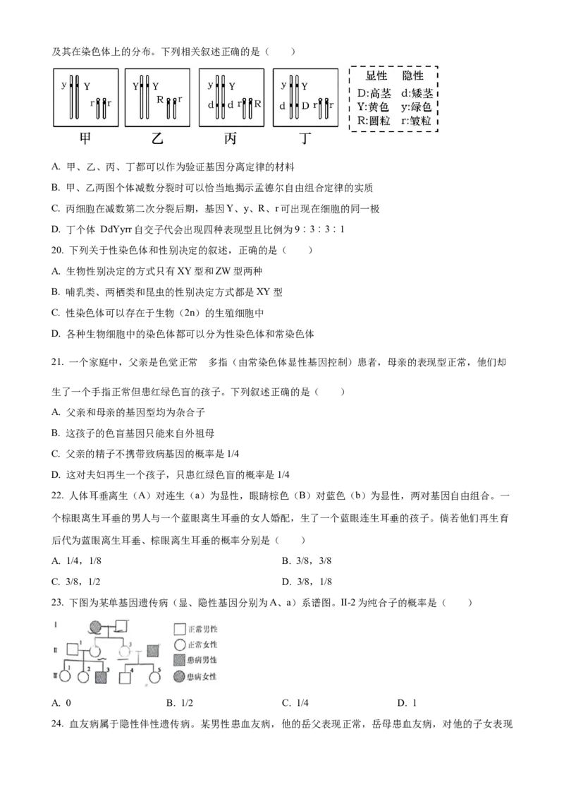 江苏省连云港市赣榆区赣榆高级中学2024-2025学年高一下学期3月月考生物学试题（含答案）_2024-2025高一（7-7月题库）_2025年03月试卷