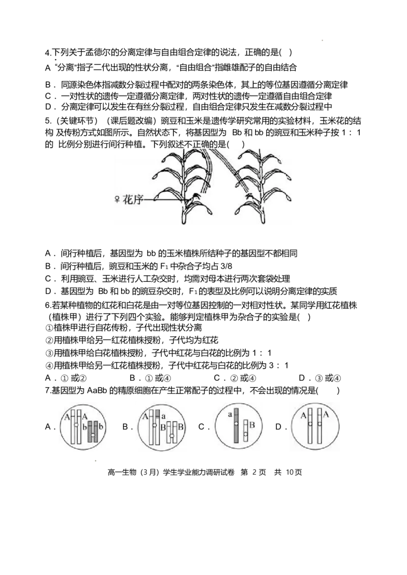 天津市静海区第一中学2024-2025学年高一下学期学生学业能力调研（3月）生物试卷（含答案）_2024-2025高一（7-7月题库）_2025年04月试卷