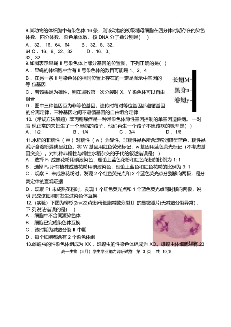天津市静海区第一中学2024-2025学年高一下学期学生学业能力调研（3月）生物试卷（含答案）_2024-2025高一（7-7月题库）_2025年04月试卷