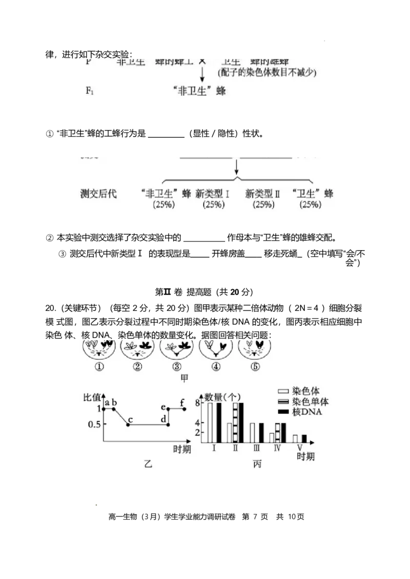 天津市静海区第一中学2024-2025学年高一下学期学生学业能力调研（3月）生物试卷（含答案）_2024-2025高一（7-7月题库）_2025年04月试卷