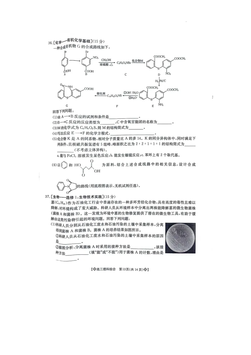 内蒙古锡林郭勒盟高三第三次模拟考试理综试卷_2024年4月_01按日期_13号_2024届四川内蒙金太阳（菱形）高三4月联考