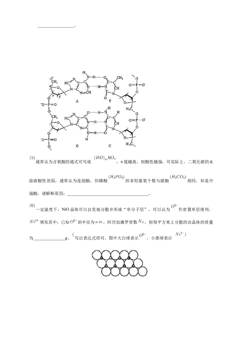 4.3核酸-练习-下学期高二化学同步精品课堂(新教材人教版选择性必修3)（解析版）_E015高中全科试卷_化学试题_选修3_5.新版人教版高中化学试卷选择性必修3_2.同步练习_3.同步练习（第三套）