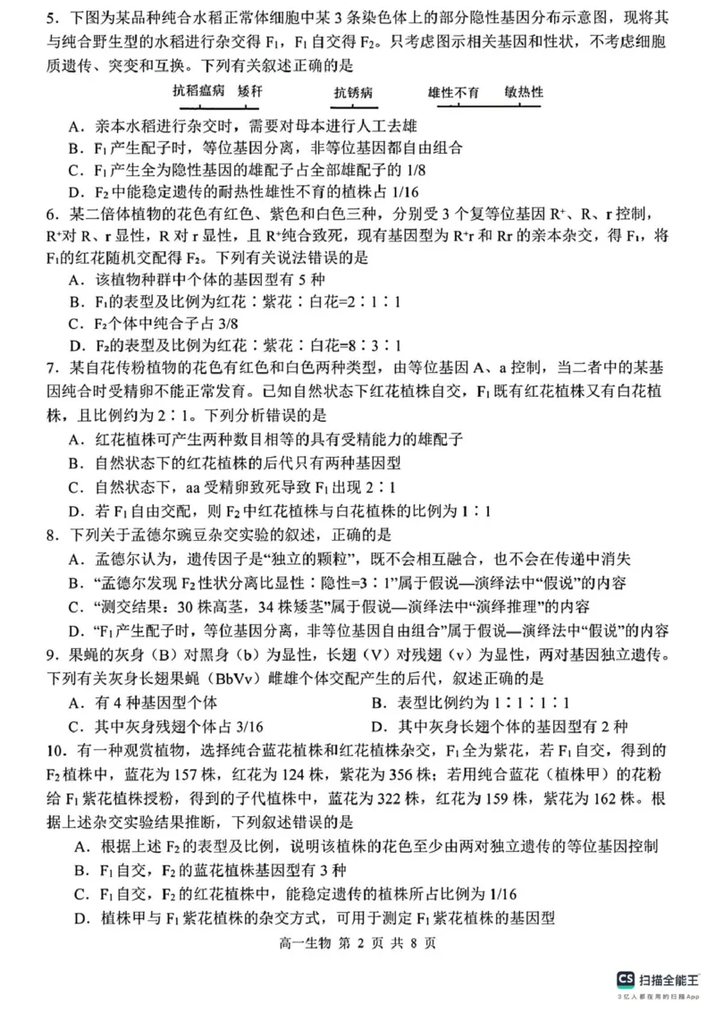 山东省菏泽市鄄城县第一中学2024-2025学年高一下学期3月月考生物试题（PDF版，含解析）_2024-2025高一（7-7月题库）_2025年03月试卷
