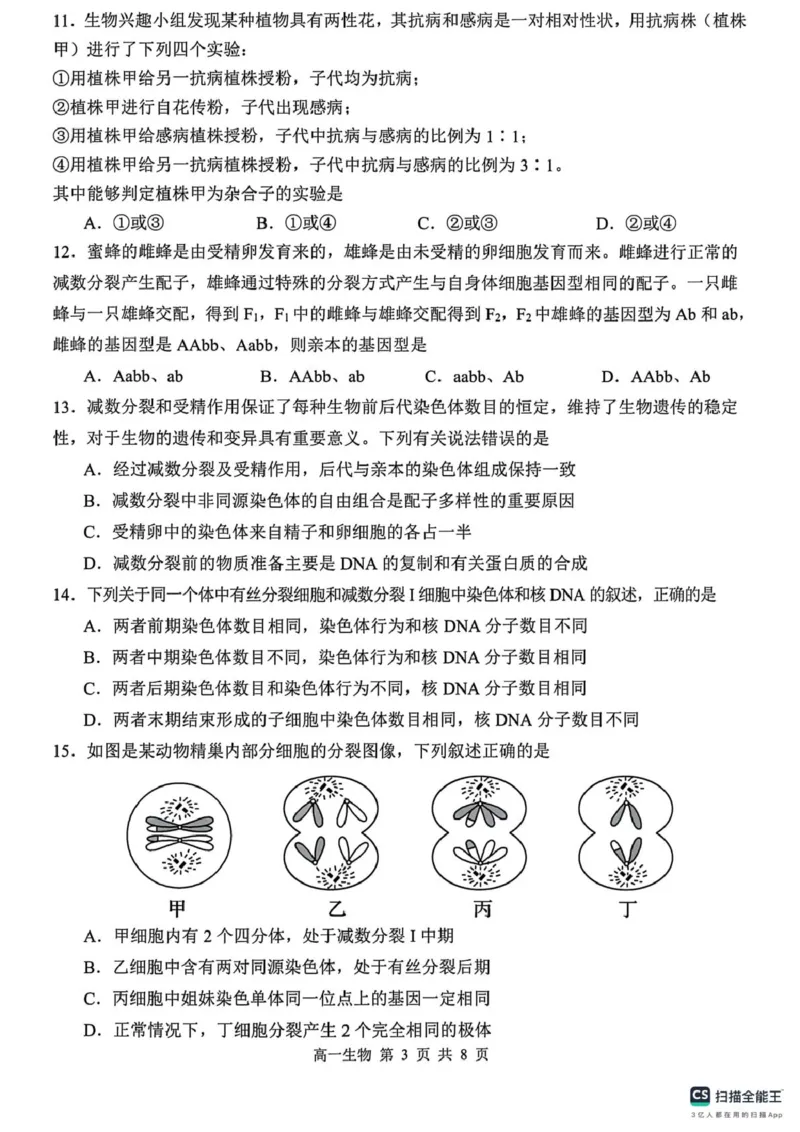 山东省菏泽市鄄城县第一中学2024-2025学年高一下学期3月月考生物试题（PDF版，含解析）_2024-2025高一（7-7月题库）_2025年03月试卷