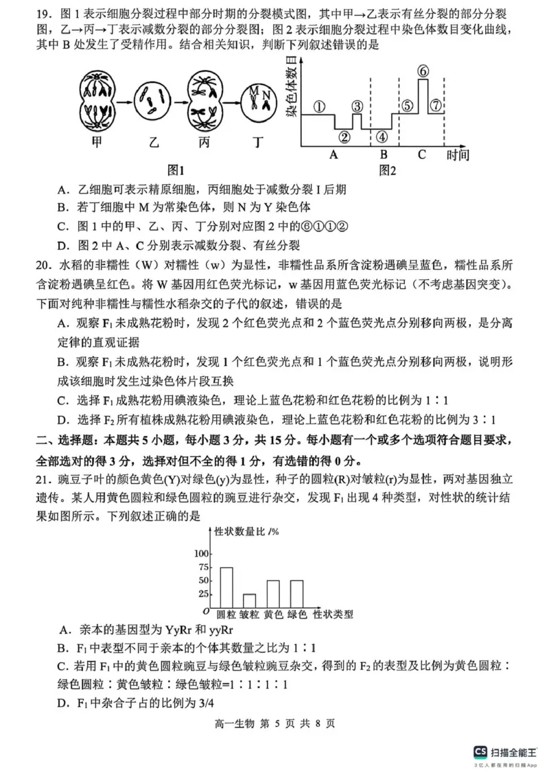 山东省菏泽市鄄城县第一中学2024-2025学年高一下学期3月月考生物试题（PDF版，含解析）_2024-2025高一（7-7月题库）_2025年03月试卷